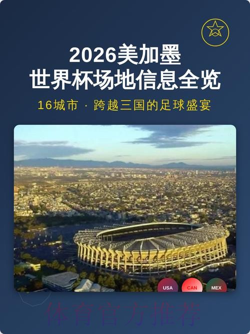 揭秘世界杯盘口入口的多元化选项 揭秘世界杯盘口入口的多元化选项
